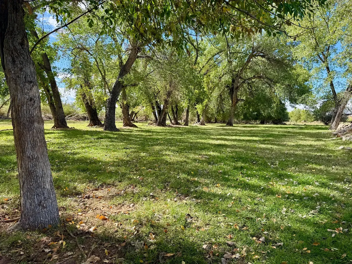 Photo session at Kirkland Fields