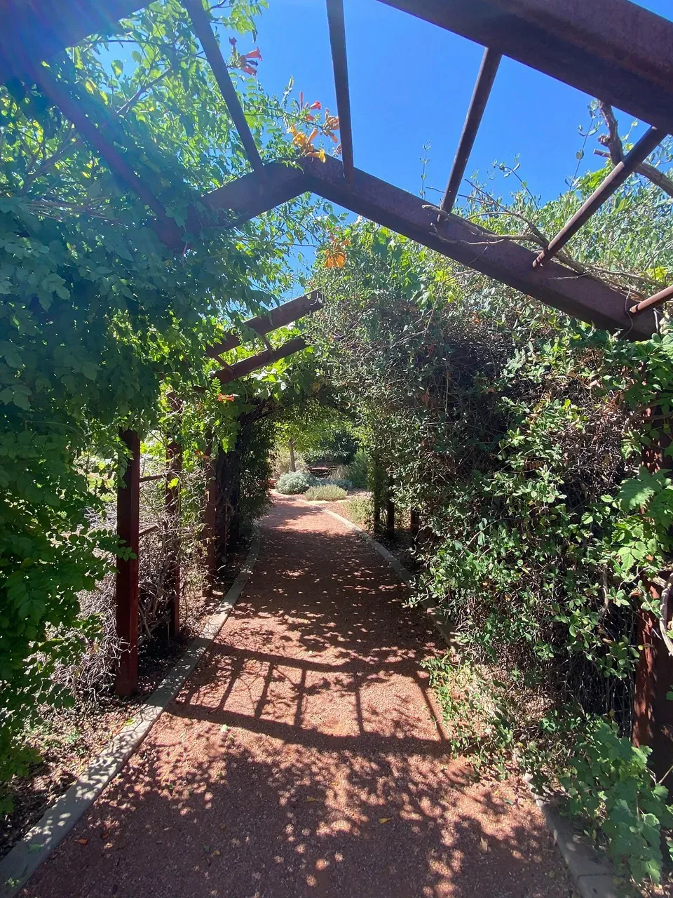 Photo session at Tonaquint Nature Center