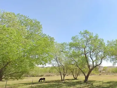 Family photography at Kirkland Fields