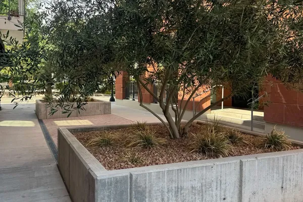 Photo session at Downtown St. George