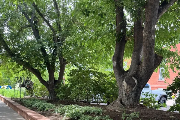 Photo session at Downtown St. George