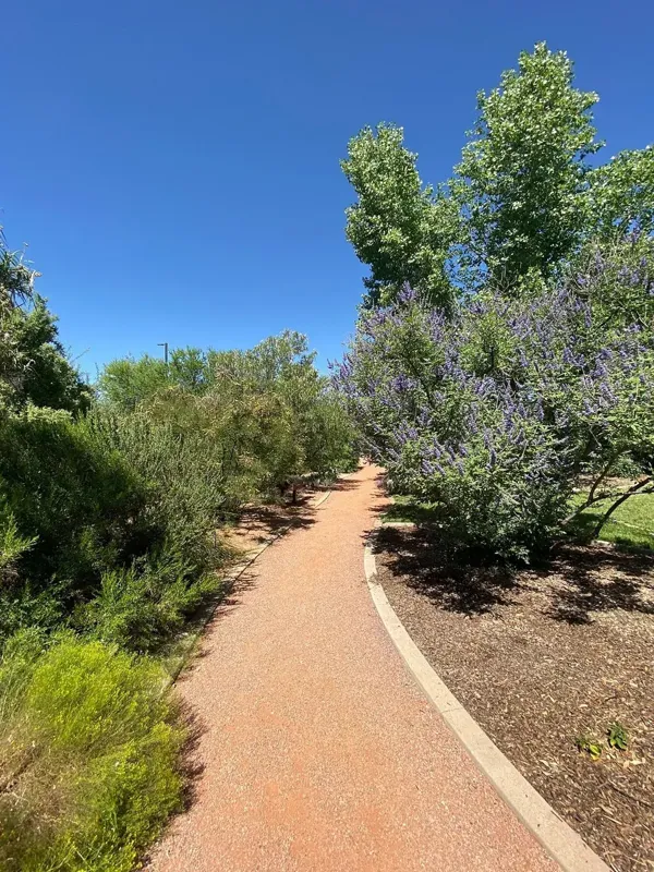 Photo session at The Garden at Tonaquint