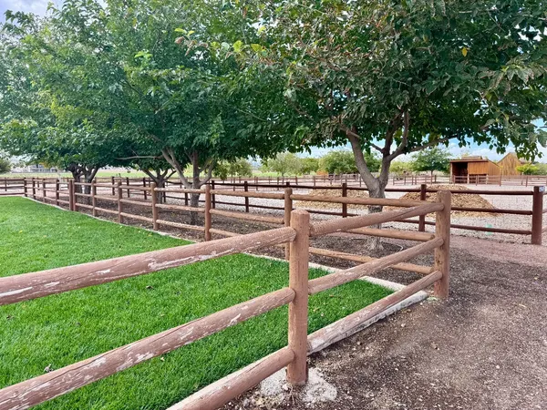Photo session at Hela Seegmiller Historic Farm