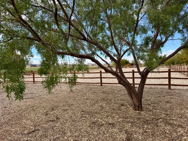 Photo session at Hela Seegmiller Historic Farm