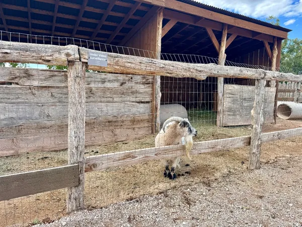 Photo session at Hela Seegmiller Historic Farm