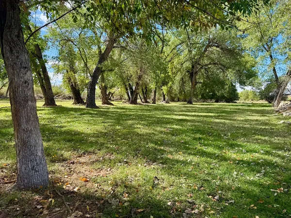 Photo session at Kirkland Fields