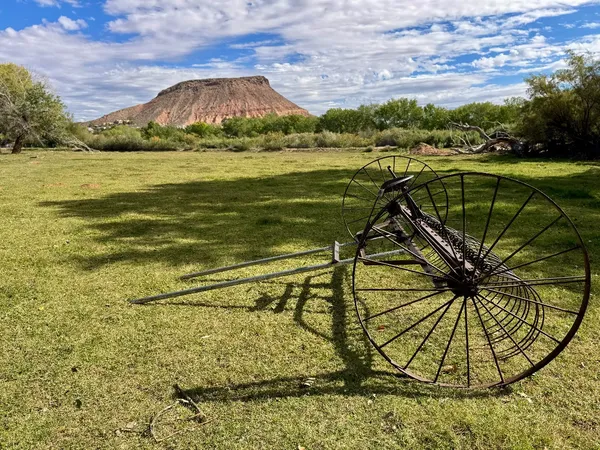 Photo session at Kirkland Fields