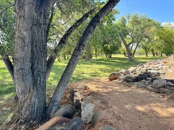 Photo session at Kirkland Fields