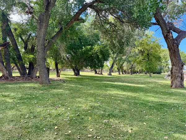 Photo session at Kirkland Fields
