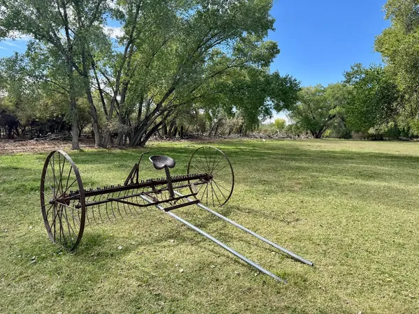 Photo session at Kirkland Fields