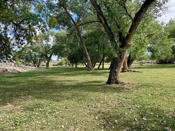 Photo session at Kirkland Fields
