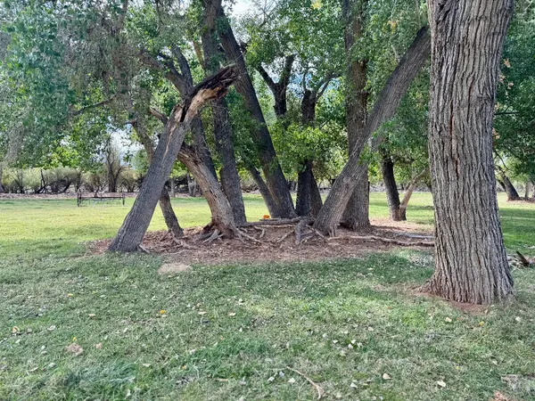 Photo session at Kirkland Fields