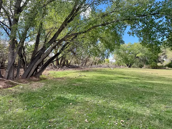 Photo session at Kirkland Fields