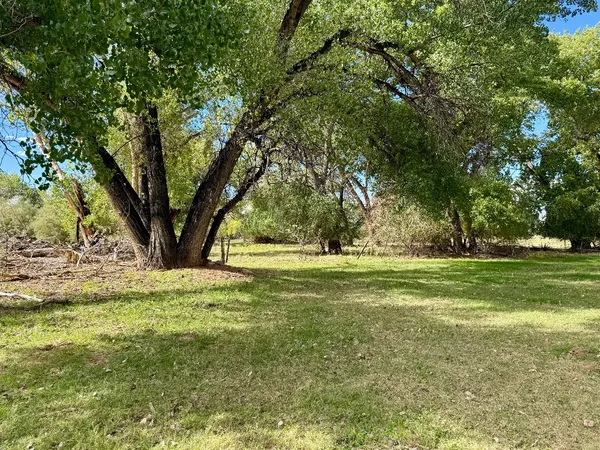 Photo session at Kirkland Fields