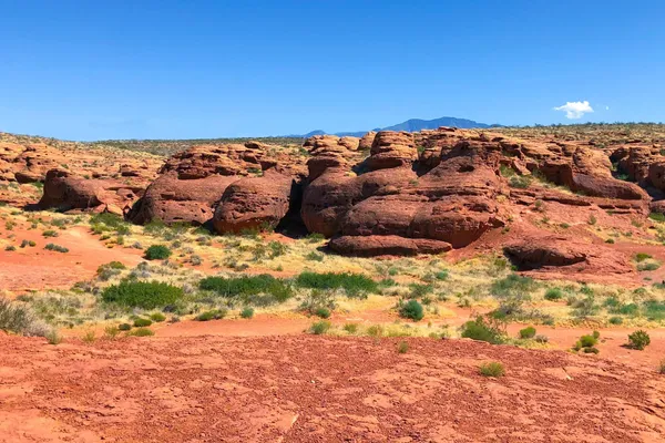 Photo session at Pioneer Park