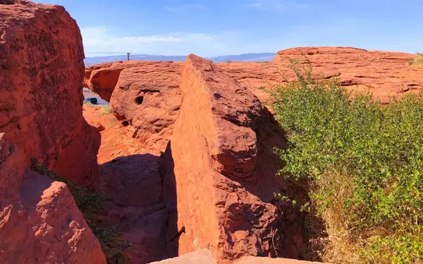 Photo session at Pioneer Park