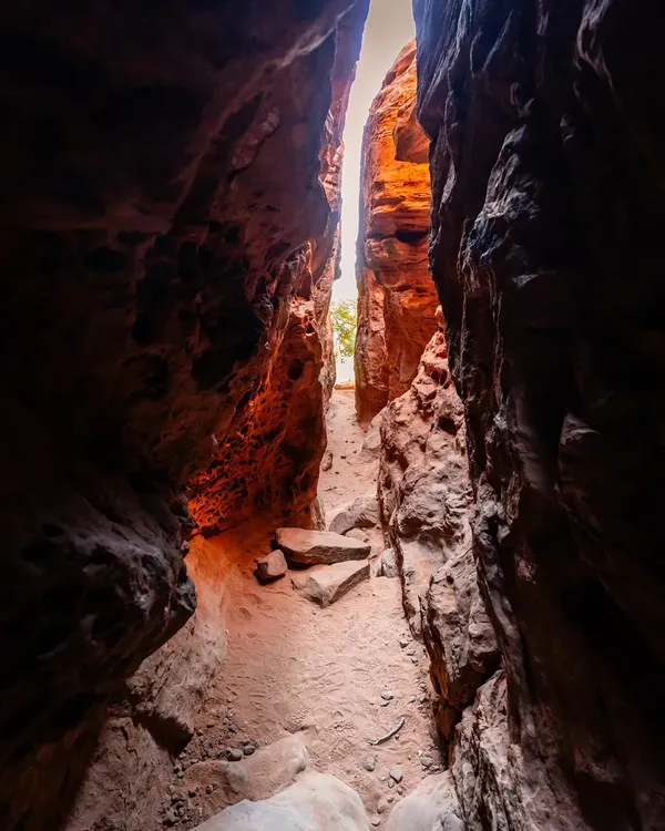 Photo session at Pioneer Park