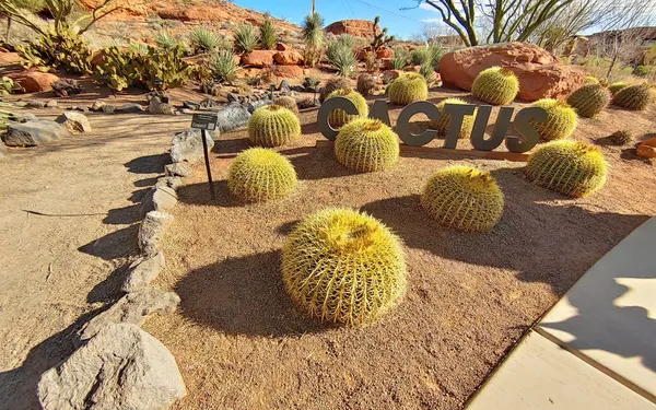 Photo session at Red Hills Desert Garden