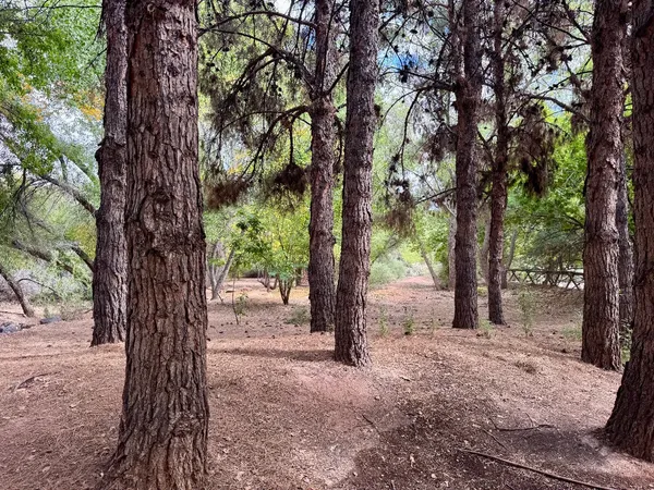 Photo session at Tonaquint Nature Center