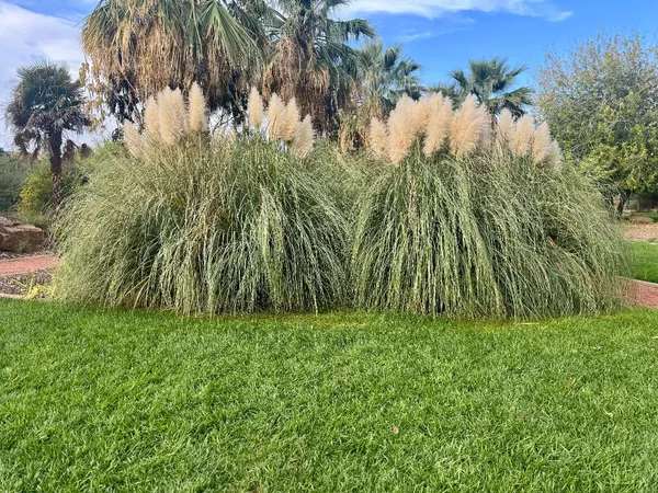 Photo session at Tonaquint Nature Center