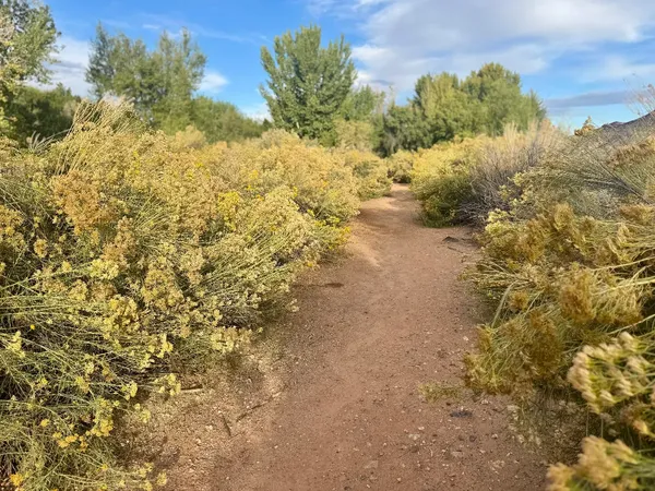 Photo session at Tonaquint Nature Center