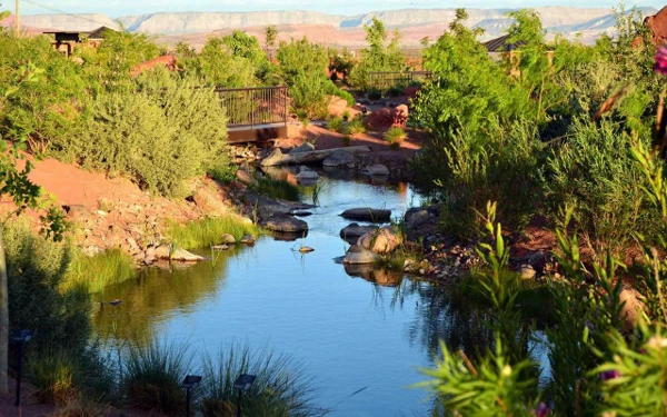 Family photo session at Red Hills Desert Garden