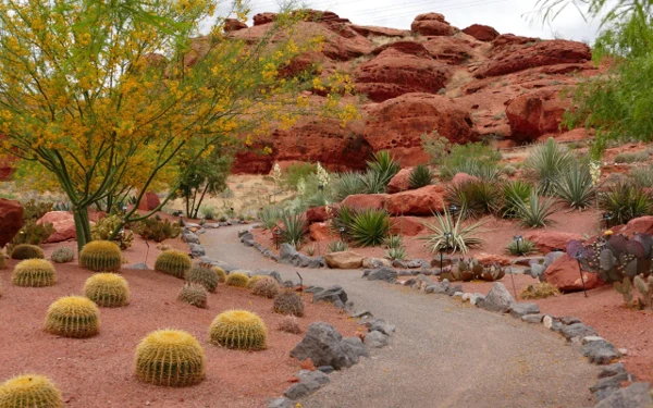 Family photo session at Red Hills Desert Garden