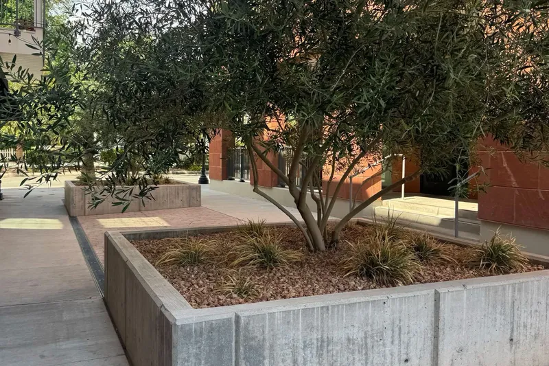 Photo session at Downtown St. George