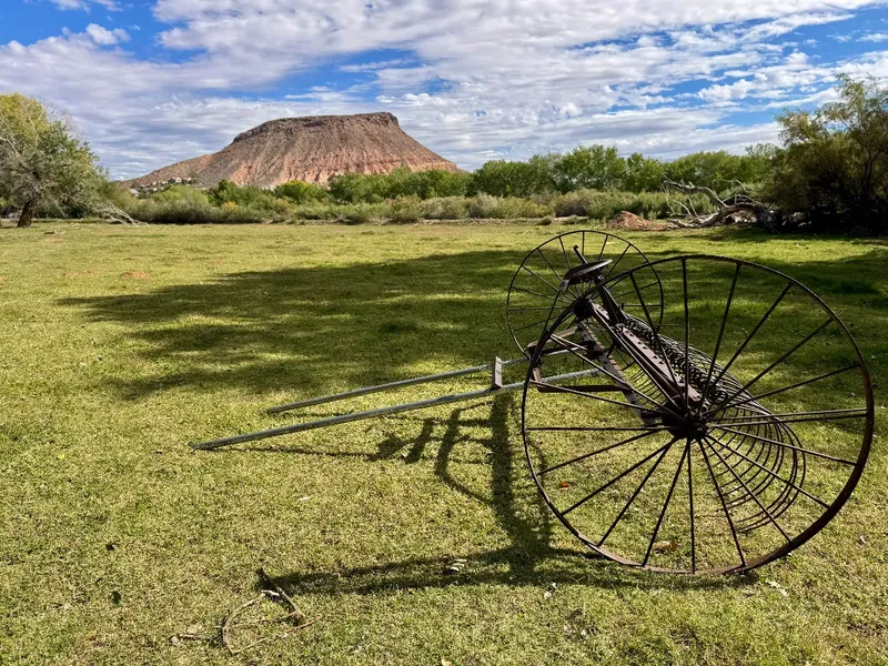 Photo session at Kirkland Fields