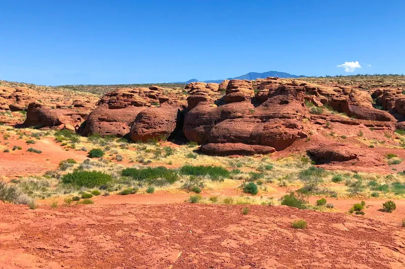 Photo session at Pioneer Park