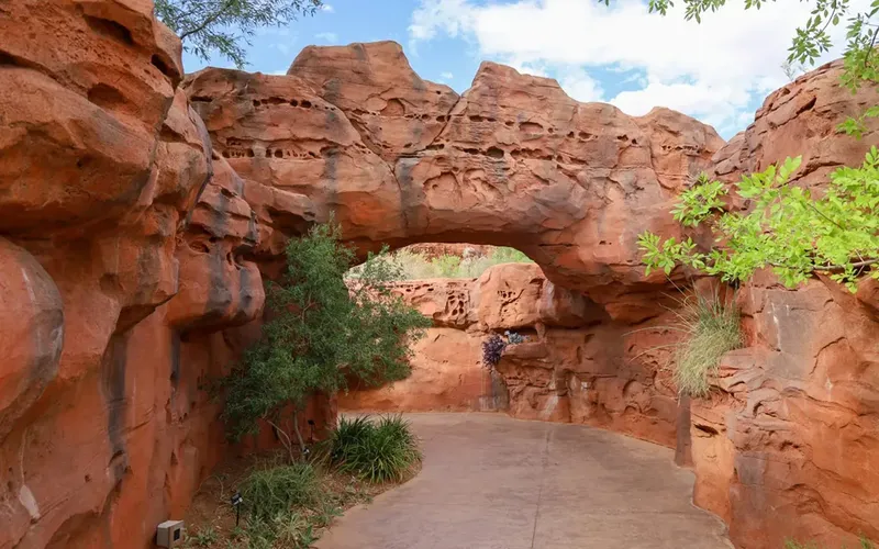 Photo session at Red Hills Desert Garden